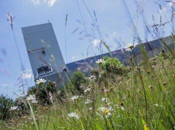 Solidarité 2021 pour les sites d'ArcelorMittal Méditerranée